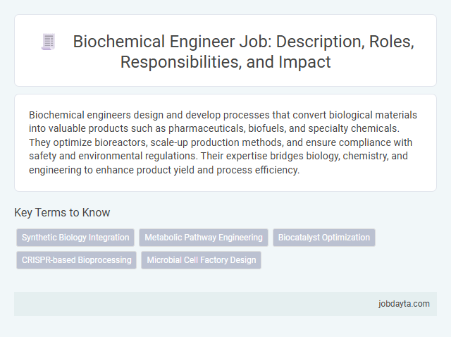 Biochemical Engineer Job: Description, Roles, Responsibilities, and Impact