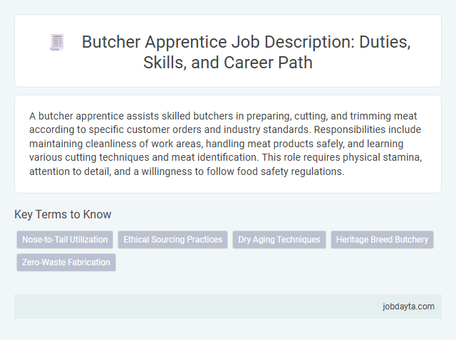 Butcher Apprentice Job Description: Duties, Skills, and Career Path