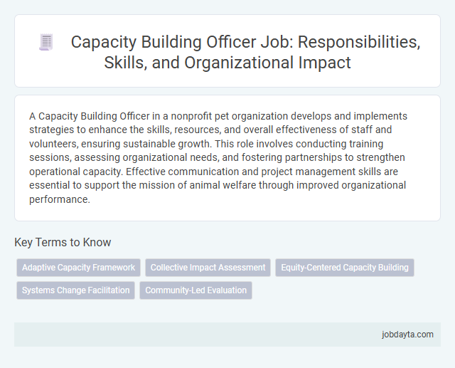 Capacity Building Officer Job: Responsibilities, Skills, and Organizational Impact