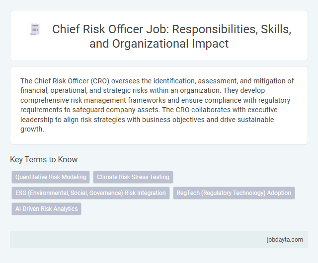 Chief Risk Officer Job: Responsibilities, Skills, and Organizational Impact