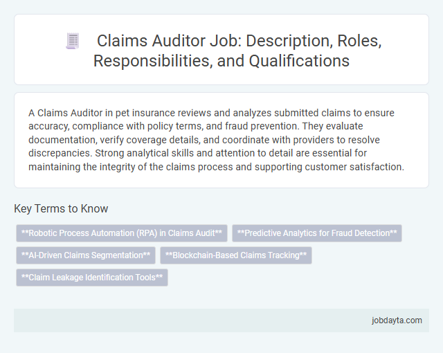 Claims Auditor Job: Description, Roles, Responsibilities, and Qualifications