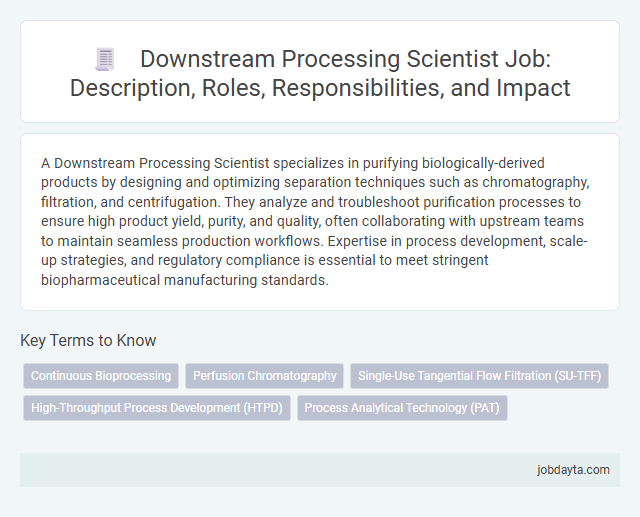 Downstream Processing Scientist Job: Description, Roles, Responsibilities, and Impact