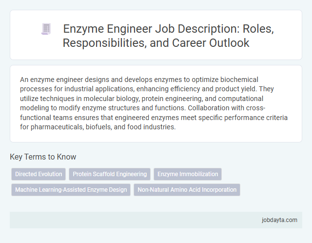 Enzyme Engineer Job Description: Roles, Responsibilities, and Career Outlook