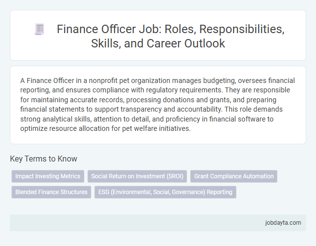 Finance Officer Job: Roles, Responsibilities, Skills, and Career Outlook