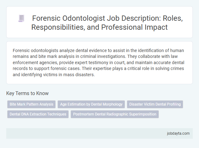 Forensic Odontologist Job Description: Roles, Responsibilities, and Professional Impact