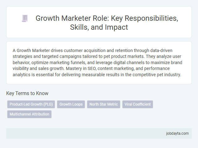 Growth Marketer Role: Key Responsibilities, Skills, and Impact