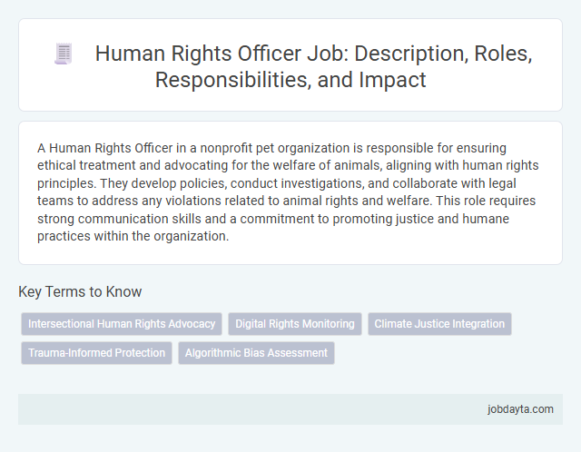 Human Rights Officer Job: Description, Roles, Responsibilities, and Impact