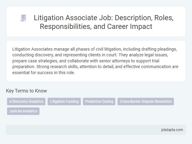 Litigation Associate Job: Description, Roles, Responsibilities, and Career Impact