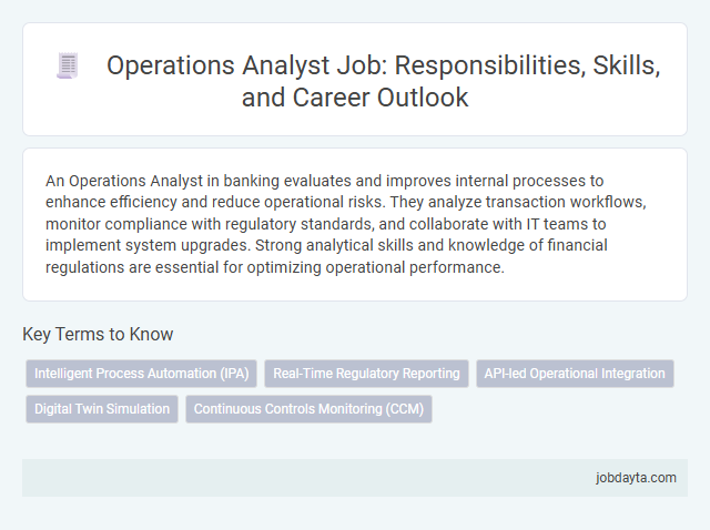 Operations Analyst Job: Responsibilities, Skills, and Career Outlook