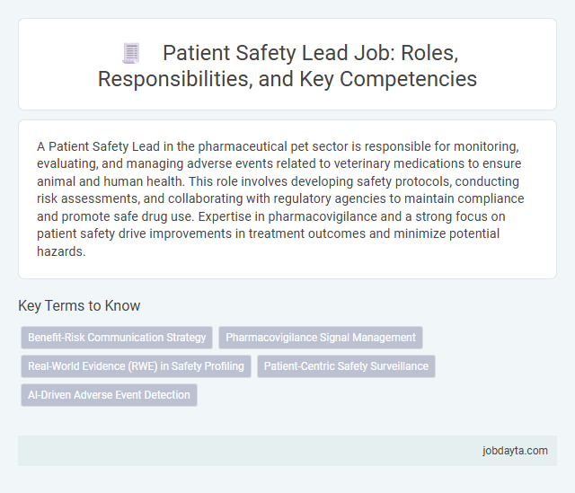 Patient Safety Lead Job: Roles, Responsibilities, and Key Competencies