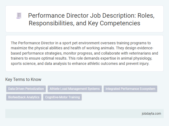 Performance Director Job Description: Roles, Responsibilities, and Key Competencies