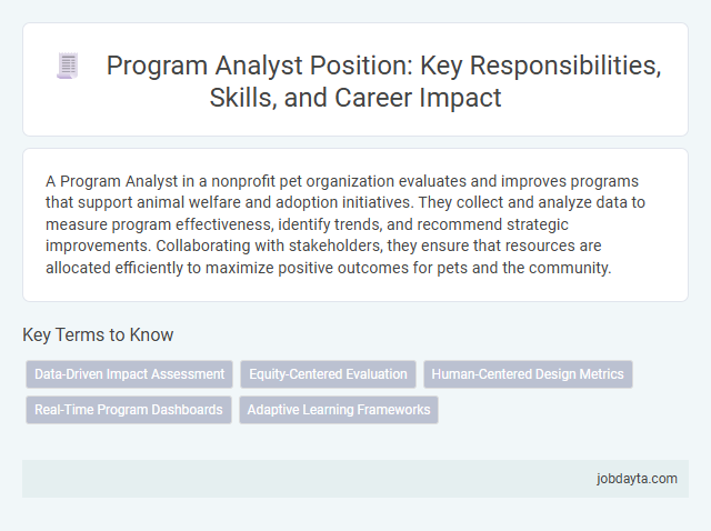 Program Analyst Position: Key Responsibilities, Skills, and Career Impact
