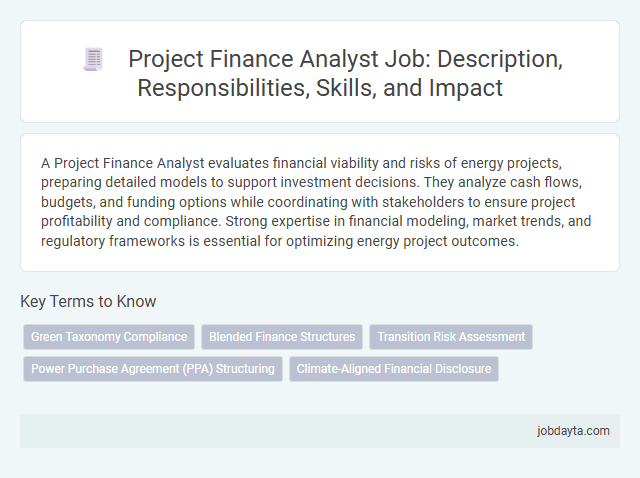 Project Finance Analyst Job: Description, Responsibilities, Skills, and Impact
