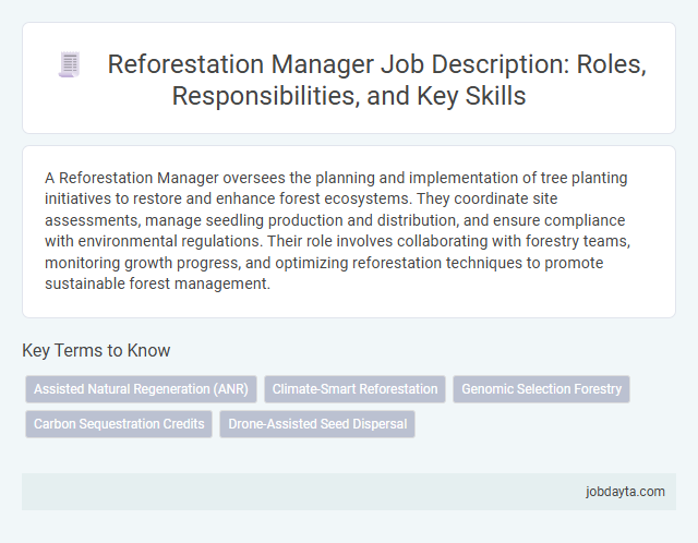 Reforestation Manager Job Description: Roles, Responsibilities, and Key Skills