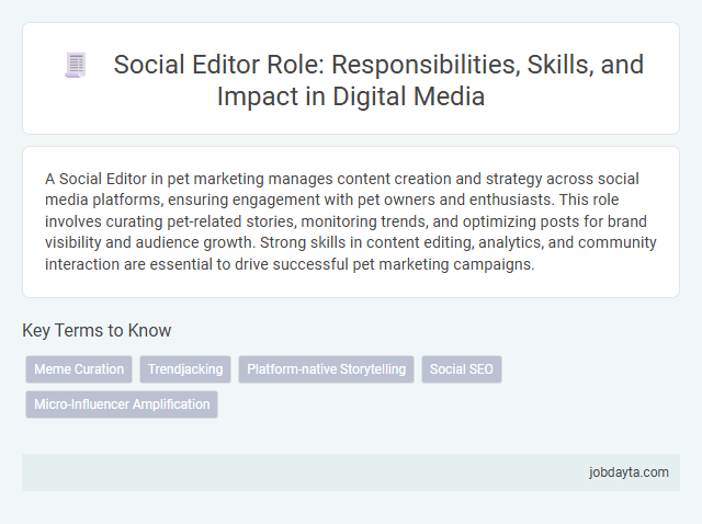 Social Editor Role: Responsibilities, Skills, and Impact in Digital Media
