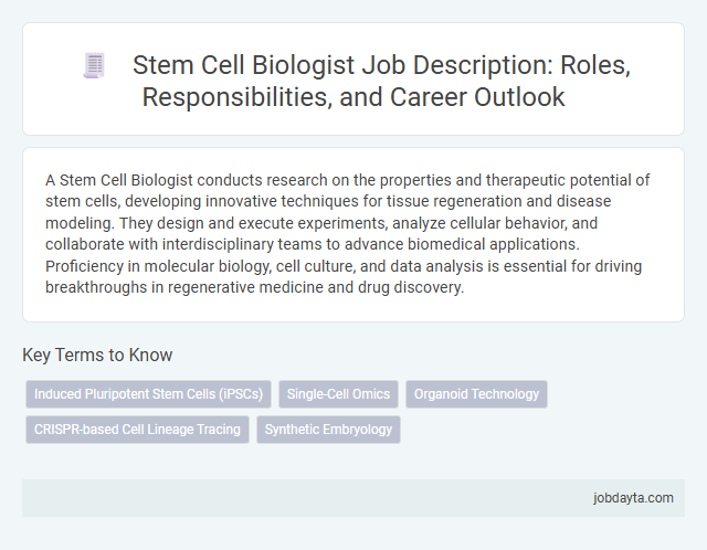 Stem Cell Biologist Job Description: Roles, Responsibilities, and Career Outlook