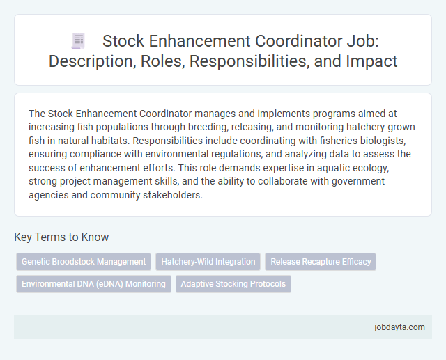 Stock Enhancement Coordinator Job: Description, Roles, Responsibilities, and Impact