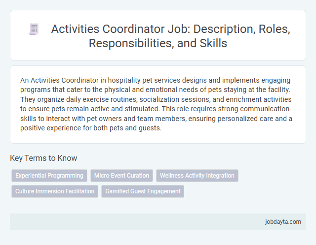Activities Coordinator Job: Description, Roles, Responsibilities, and Skills