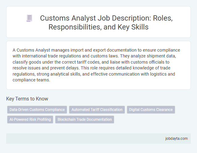 Customs Analyst Job Description: Roles, Responsibilities, and Key Skills