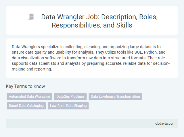 Data Wrangler Job: Description, Roles, Responsibilities, and Skills