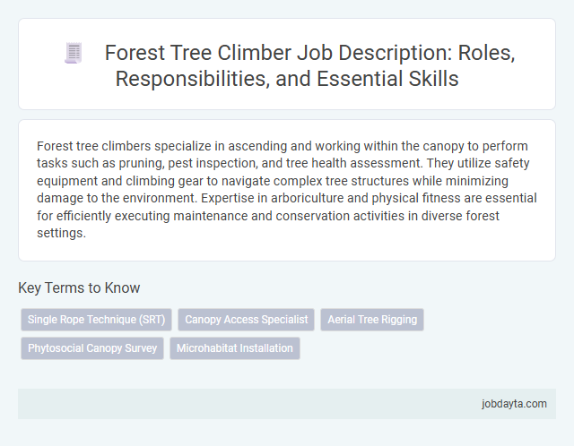 Forest Tree Climber Job Description: Roles, Responsibilities, and Essential Skills