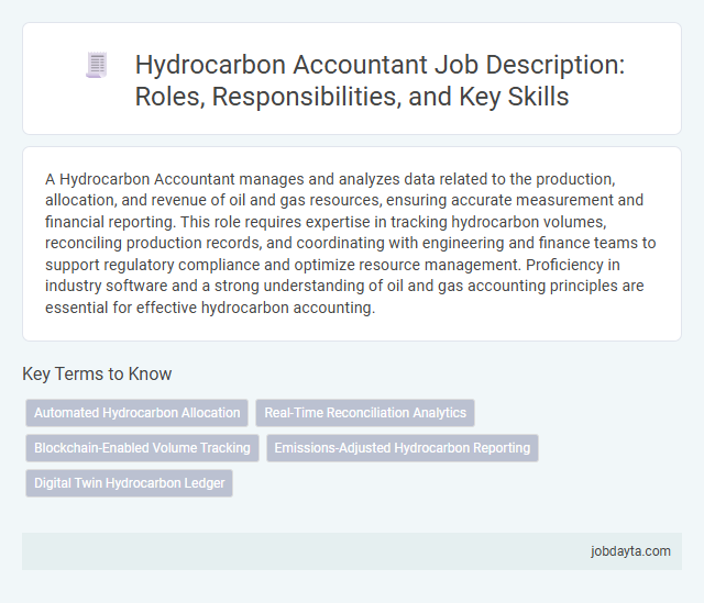 Hydrocarbon Accountant Job Description: Roles, Responsibilities, and Key Skills