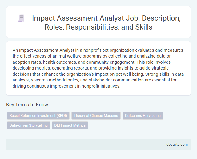 Impact Assessment Analyst Job: Description, Roles, Responsibilities, and Skills