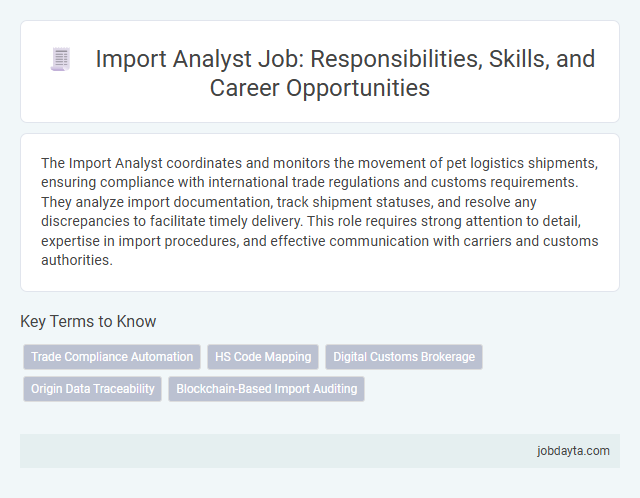 Import Analyst Job: Responsibilities, Skills, and Career Opportunities