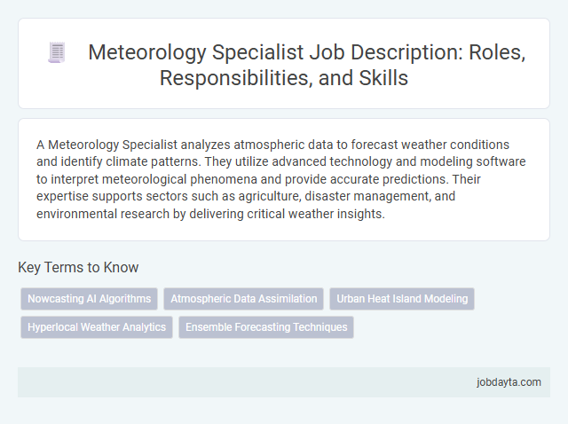 Meteorology Specialist Job Description: Roles, Responsibilities, and Skills