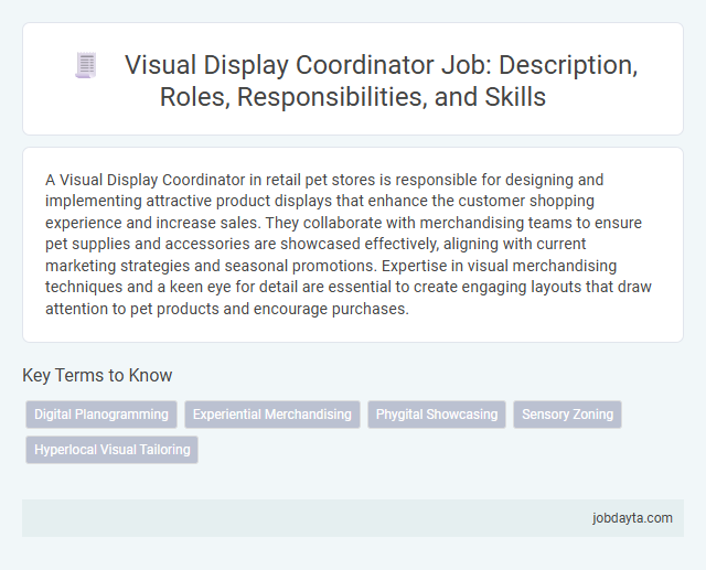 Visual Display Coordinator Job: Description, Roles, Responsibilities, and Skills