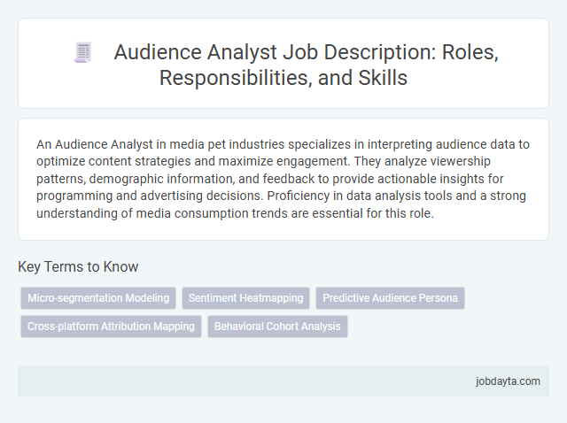 Audience Analyst Job Description: Roles, Responsibilities, and Skills