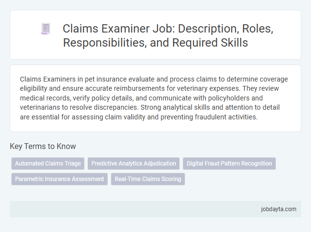Claims Examiner Job: Description, Roles, Responsibilities, and Required Skills
