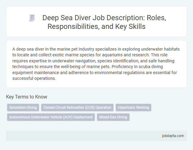Deep Sea Diver Job Description: Roles, Responsibilities, and Key Skills