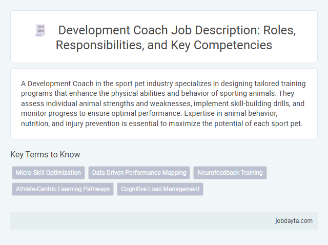 Development Coach Job Description: Roles, Responsibilities, and Key Competencies