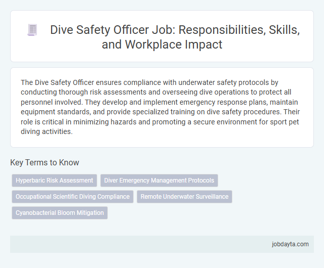 Dive Safety Officer Job: Responsibilities, Skills, and Workplace Impact