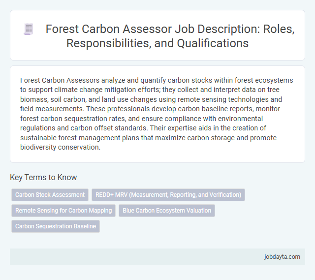 Forest Carbon Assessor Job Description: Roles, Responsibilities, and Qualifications
