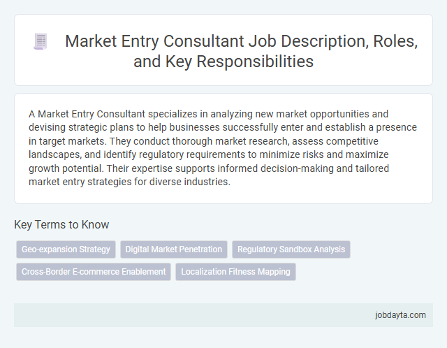 Market Entry Consultant Job Description, Roles, and Key Responsibilities