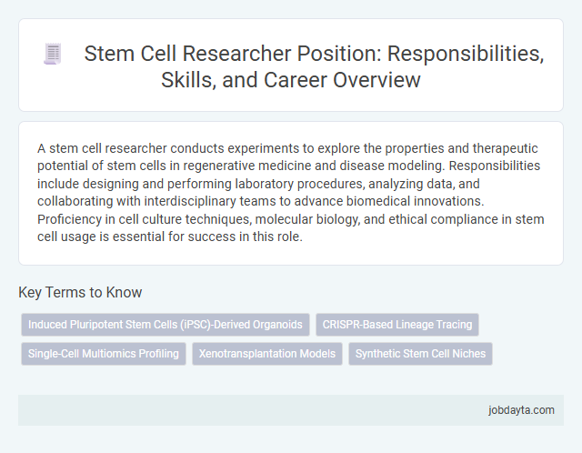 Stem Cell Researcher Position: Responsibilities, Skills, and Career Overview