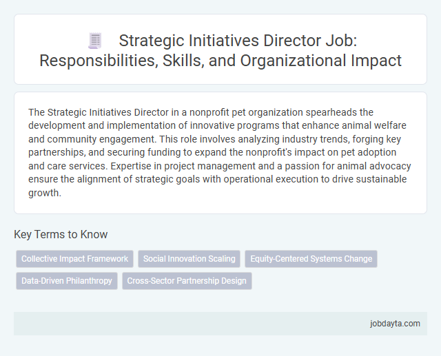 Strategic Initiatives Director Job: Responsibilities, Skills, and Organizational Impact