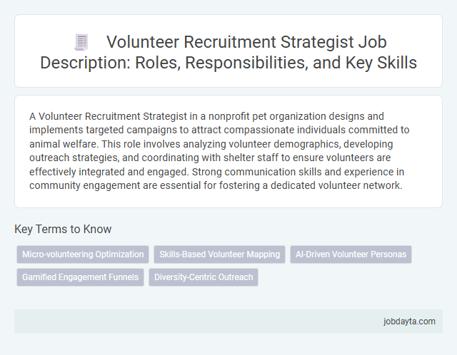 Volunteer Recruitment Strategist Job Description: Roles, Responsibilities, and Key Skills