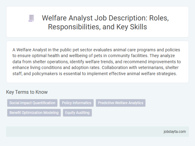 Welfare Analyst Job Description: Roles, Responsibilities, and Key Skills