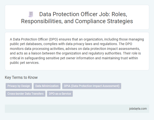 Data Protection Officer Job: Roles, Responsibilities, and Compliance Strategies