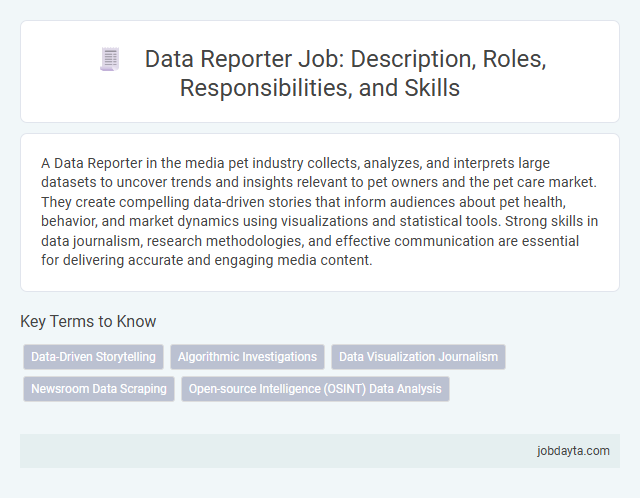 Data Reporter Job: Description, Roles, Responsibilities, and Skills