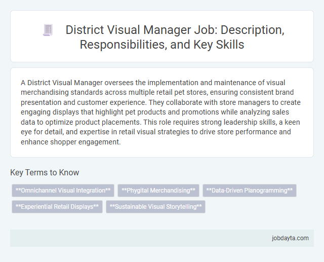 District Visual Manager Job: Description, Responsibilities, and Key Skills