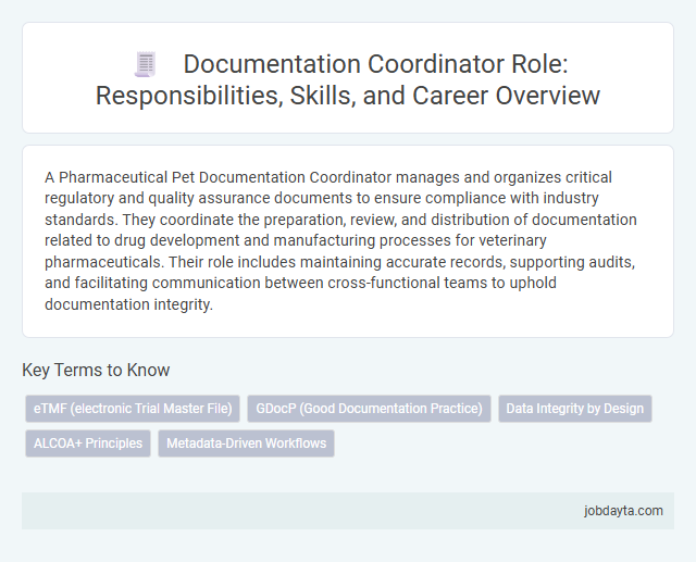 Documentation Coordinator Role: Responsibilities, Skills, and Career Overview