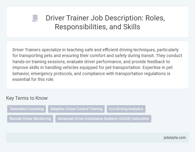 Driver Trainer Job Description: Roles, Responsibilities, and Skills