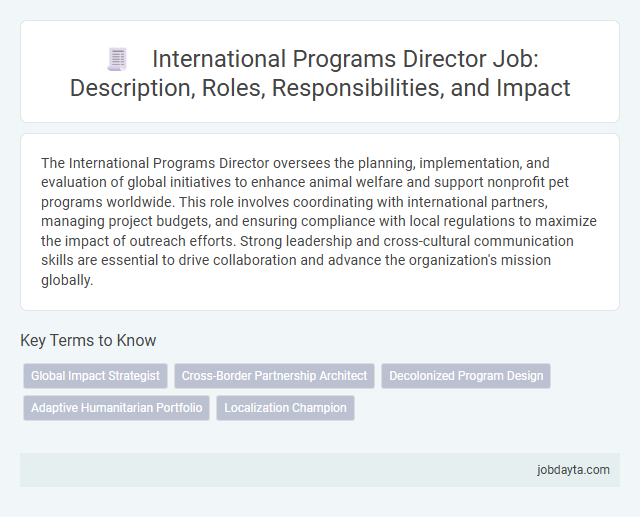 International Programs Director Job: Description, Roles, Responsibilities, and Impact