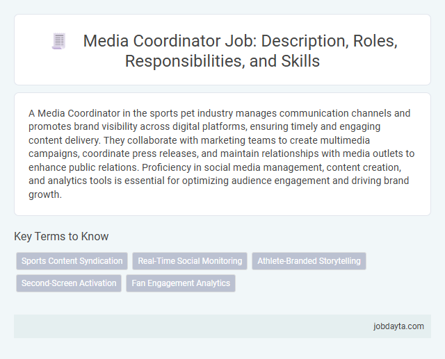 Media Coordinator Job: Description, Roles, Responsibilities, and Skills