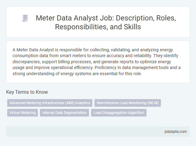 Meter Data Analyst Job: Description, Roles, Responsibilities, and Skills