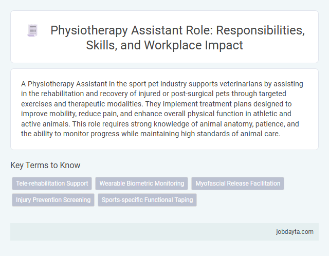 Physiotherapy Assistant Role: Responsibilities, Skills, and Workplace Impact